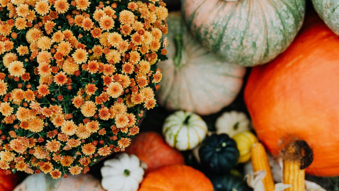 Untitled design (74)